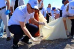 Dünyaca ünlü sahilde binlerce izmarit topladılar 