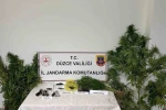 Düzce’de uyuşturucu operasyonunda 1 tutuklama