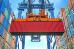 Düzce’den 4 bin 135 ton orman ürünü ihraç edildi 