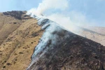 Elazığ’da dağlık alandaki yangına müdahale sürüyor 