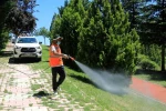 Elazığ’da ilaçlama çalışmaları aralıksız sürüyor