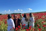 Elazığ’da oluşan doğal gelincik tarlasına vatandaşlar akın etti