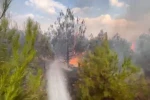 Elazığ’da ormanlık alanda yangın 