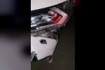Elazığ’da otomobil domuz sürüsüne çarptı 
