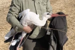 Elektrik akımına kapılan eşinin başından 5 gün ayrılmadı