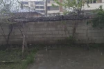 Erciş’te şiddetli yağmur yağışı 