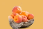 Erzincan’ın yüksek kesimlerinde yabani zerdali yetişiyor