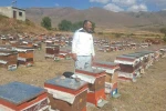 Erzurum’un Çat ilçesinde arıcıların ayı nöbeti 