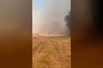 Eskipazar’da anız yangını korkuttu 
