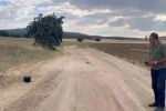 Eskişehir’de kaybolan gebe inek dron ile aranıyor 