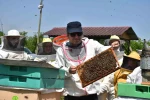 Ev hanımından öğretmenine herkes kovan başında 