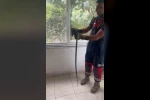 Eve giren yılan pencere arasına sıkıştı
