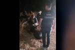 Ezine’de 5 kaçak göçmen yakalandı
