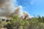 Fethiye Üzümlü’de yangın yeniden başladı 
