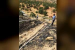Fıstık tarlasındaki yangına müdahale ederken hayatını kaybetti
