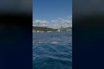 FSM Köprüsü’nden denize atlayan kişiyi vatandaşlar kurtardı