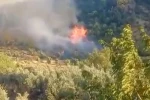 Gaziantep’te çıkan orman yangını havadan ve karadan müdahaleyle söndürüldü