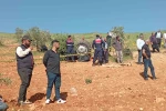 Gaziantep’te devrilen traktörün sürücüsü hayatını kaybetti 