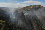 Gümüşhane’deki orman yangınında 30 hektar alan küle döndü 