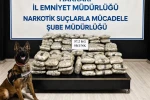 Hakkari’de 57 kilo 200 gram skunk ele geçirildi 