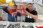 Hamsinin fiyatı 70 liraya indi, tezgahlar şenlendi