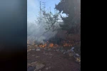 Hassa’da bahçe yangını 