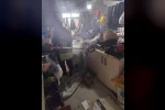 Hatay’da yerleşim yerlerine giren yılanlar yakalandı