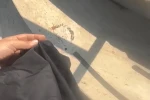 Havuzda tesettür mayo yasağında site görevlisi tutuklandı
