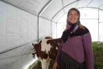 Hayriye Teyze’nin yüzü devlet desteğiyle güldü 