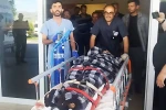 Hayvanlarını otlatırken ayı saldırısına uğradı, Kangallar imdadına yetişti