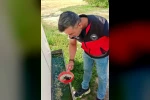 Haziran böceğiyle mücadele sürüyor
