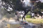 Hurda atık yangını yarım asırlık ağacı küle çevirdi