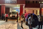 Huysuzlaşan inek sahibini ağır yaraladı
