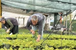 İklim değişikliği ve kuraklık nedeniyle su tasarruflu peyzaj dönemi 