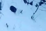 İş makinesi operatörü karda kaybolan keçiyi sahiplerine ulaştırdı 