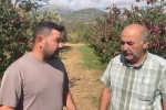 Isparta’da bir gecede 4 bin 200 ton elma doluya teslim oldu, zarar 170 milyon TL 