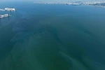 İzmir Körfezi’nde yine dış kaynaklı kirlilik alarmı 