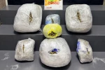 İzmir’de şüpheli araçtan 15 kilo zehir çıktı 