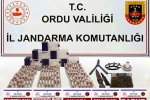 Jandarmadan Ordu ve Samsun’da uyuşturucu operasyonu: 7 tutuklama 