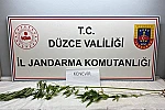 Jandarma’dan uyuşturucu operasyonu