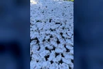 Kahramanmaraş’ta tarhana mesaisi