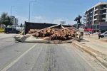 Kamyon kavşağa girerken devrildi, tomruklar yola savruldu 
