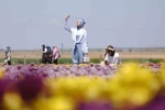 Karaman’da lale tarlasına ziyaretçi akını: 2 günde 30 bin kişi gezdi 