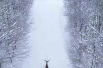 Karların arasında süzülen kızıl geyik havadan görüntülendi 