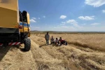 Kars’ta biçerdöver hasadı kontrolleri sıklaştırıldı 