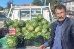 Kasım ayı geldi, karpuz tezgahtan inmedi