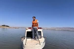 Keban Baraj Gölü’nde yaz dönemi balık örnekleme çalışmaları 