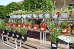 Kepez Bahçe Market Antalya’nın hizmetine açılıyor 