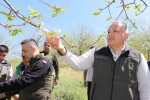 Kestane zararlısına karşı 2 bin 700 parazitoit böcek doğaya salındı 