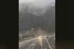 Kilometrelerce ters yönde ilerledi, kaza kıl payı atlatıldı 